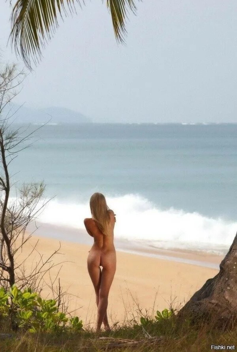 Naked on the island, From the beach, Sea beach