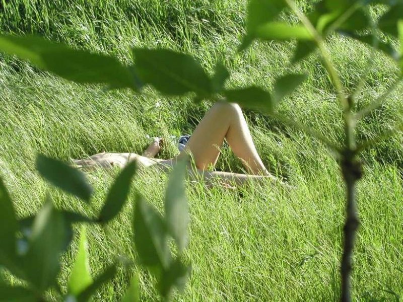 Peeping in nature, In nature erotica, Erotica peeping