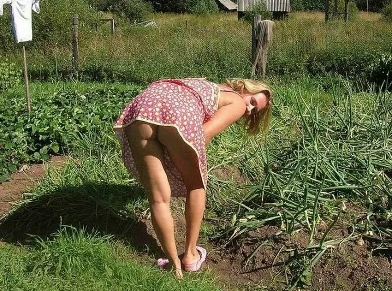 I bent down in the country, Girls in beds without panties, Cancer in the garden