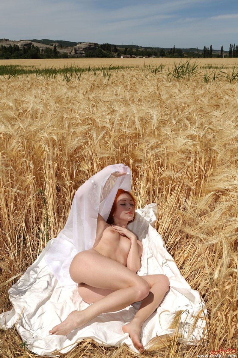 Photo shoot in wheat naked, Erotic, Photoshoot in a wheat field