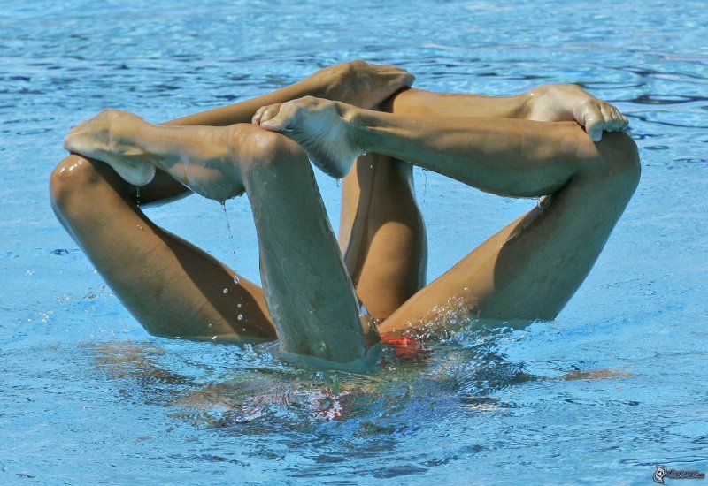 Synchronizers swamps, Synchronous swimming naked, Synchronizers