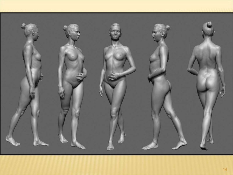 Female body reference, The figure of a woman from different angles, Reference of the female body