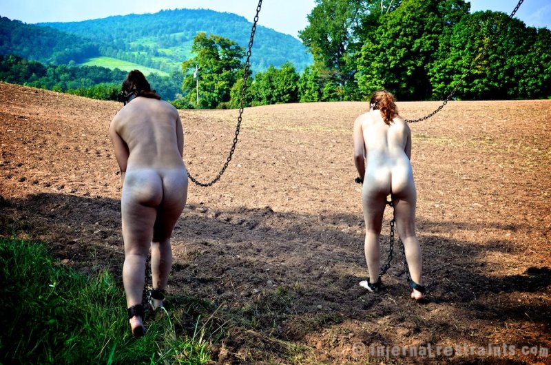 Slave on nude plantations, Naked slaves on plantations, Naked women slaves on the farm