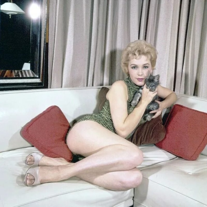 Stella Stevens, Kim novak in x, Kim Novak American actress