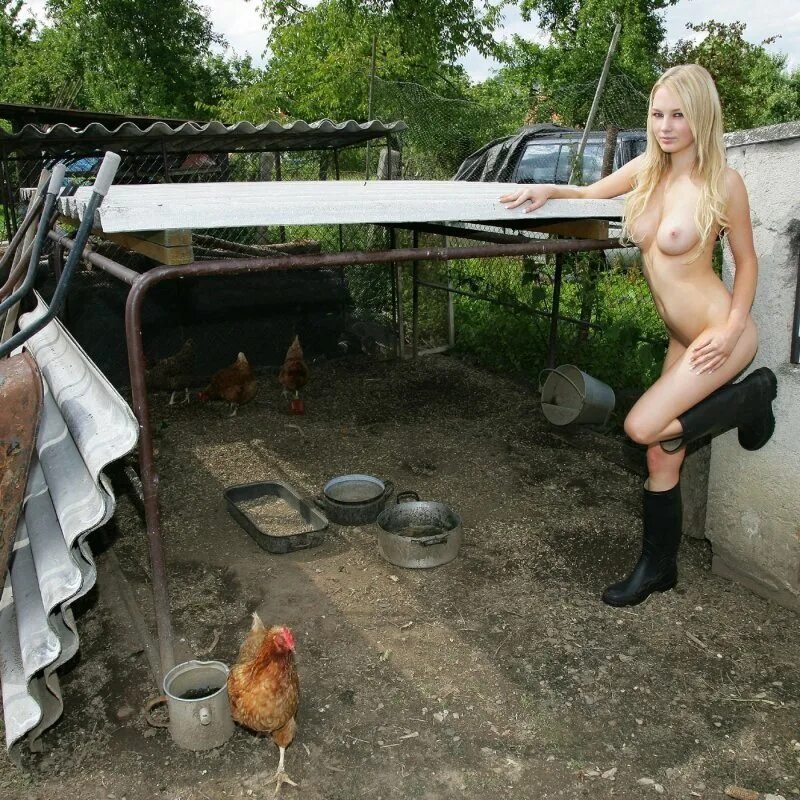 Kuryatnik, Life in the village, Chicken in the village