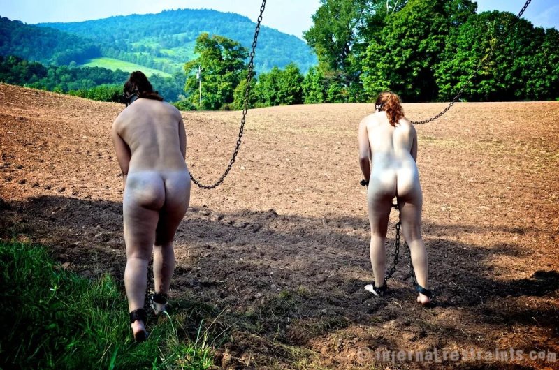 Slave on nude plantations, Naked slaves on plantations, Naked women slaves on the farm