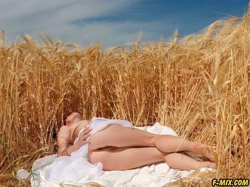 Naked blonde in wheat, Photoshoot in a wheat field, Photo shooting in wheat field