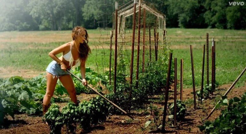 Chicks in the garden, Girl in the garden, Women in the country summer