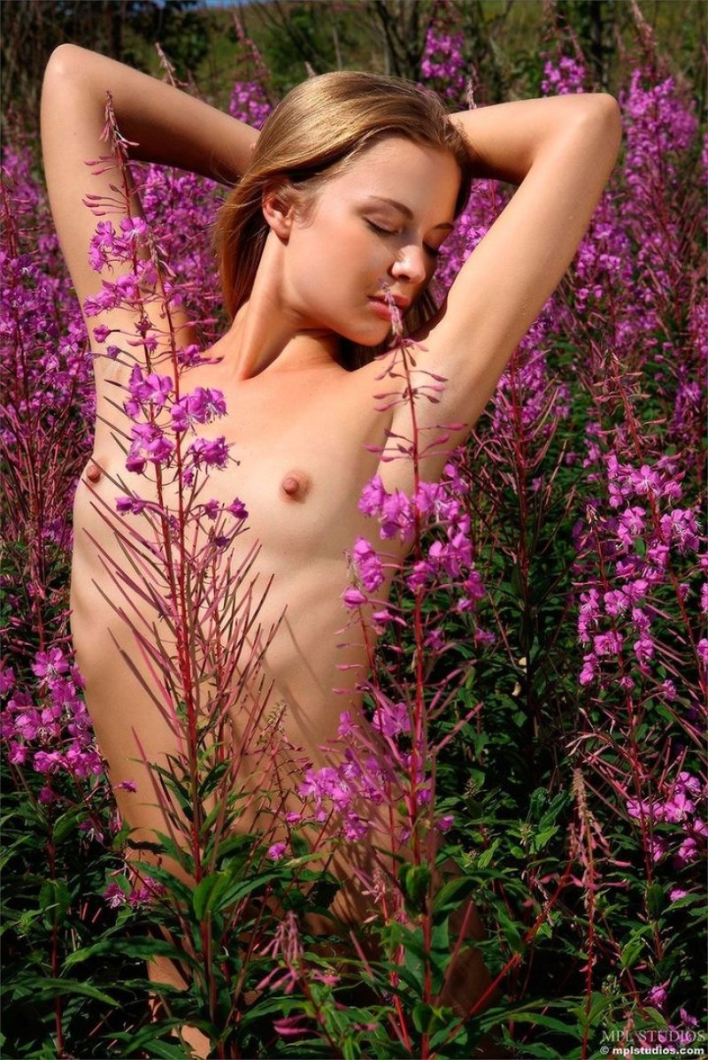Erotic nature of plants, Erotic, Erotic