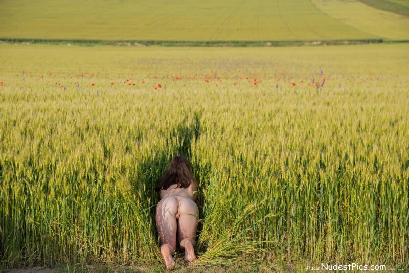 Afro american in the naked field, Nudism, Girl in the field