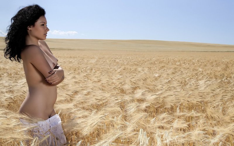 Nude girls in wheat field, Erotic photo shoot in the field, Nude girls in the wheat field