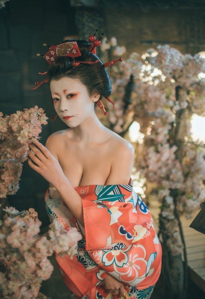 Japanese in a kimono, Japanese geisha, Japanese in kimono