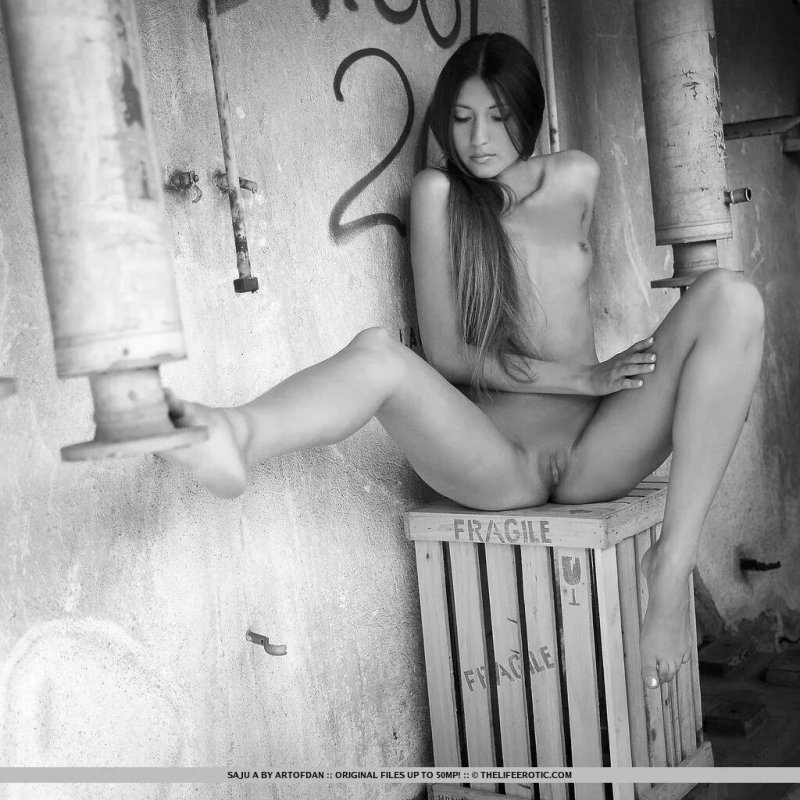 Aleksandra saju a, Porn, Erotic
