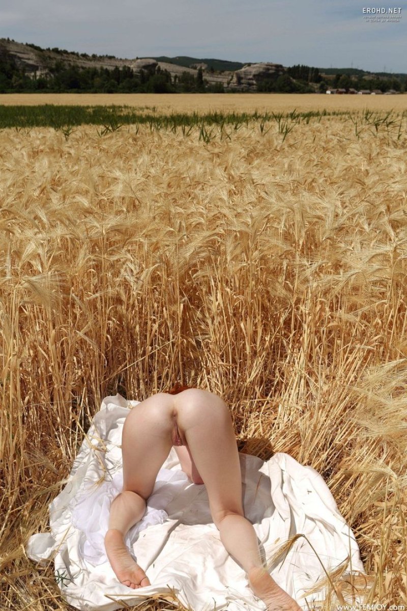 Photo shoot in wheat naked, Ero photo shoot in wheat fields, Naked in the field