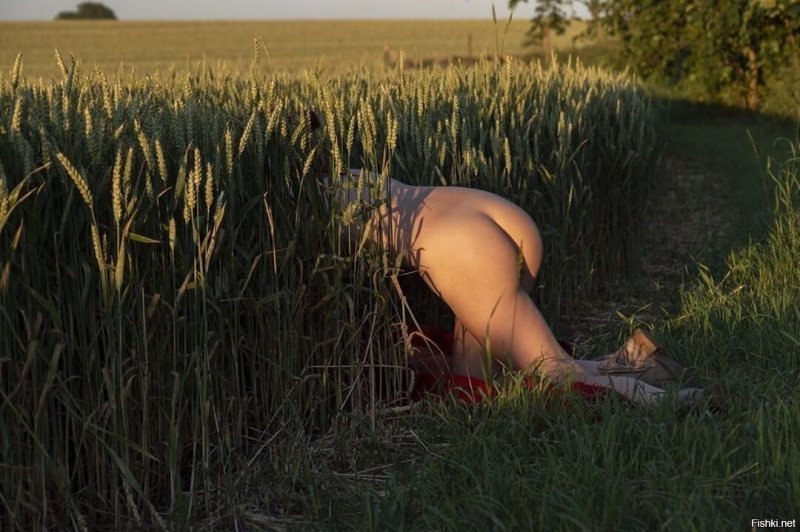 Erotic photo shoot in the field, Erotica in the field, Field Nature