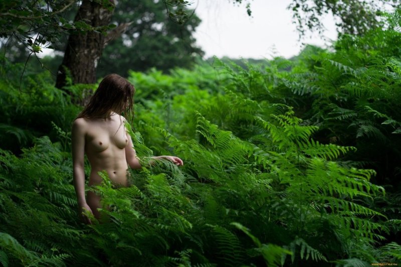 Girls undress in the bushes, Naked women in the forest, Girl undressing in the forest