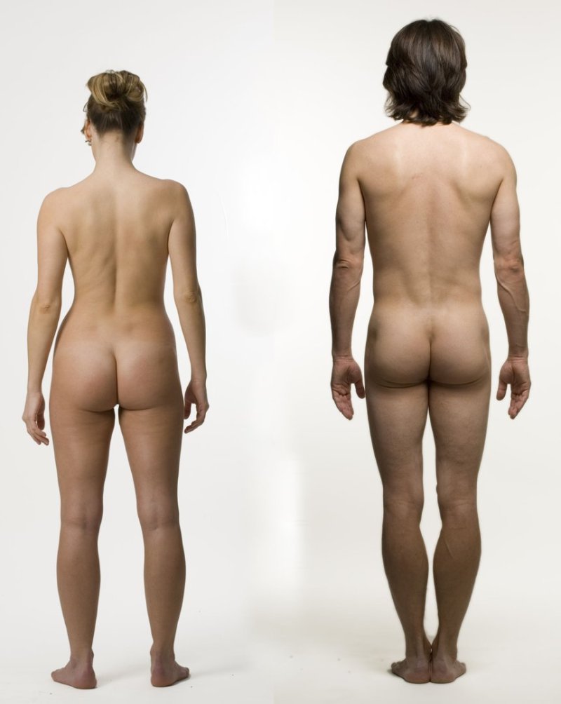Naked woman on the side, Naked man and woman look on the side, Naked women in front