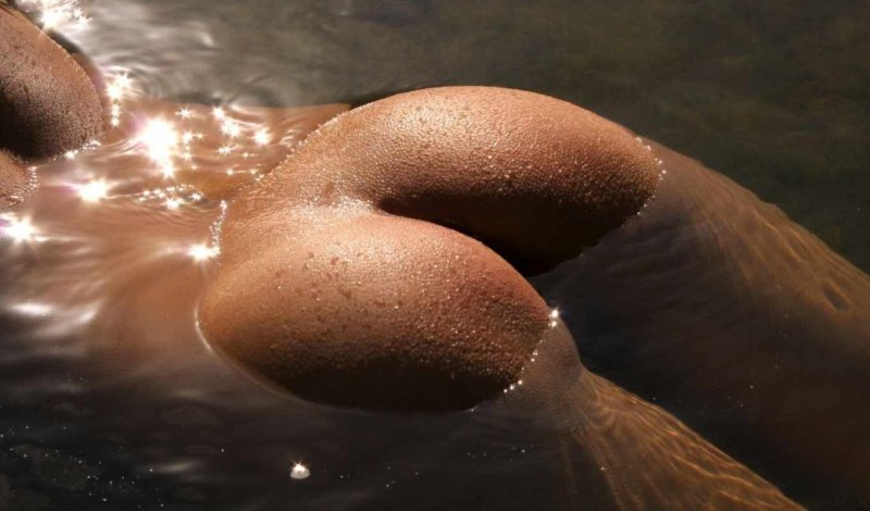 Beautiful wet butt, Ideal buttocks, Sexy buttocks