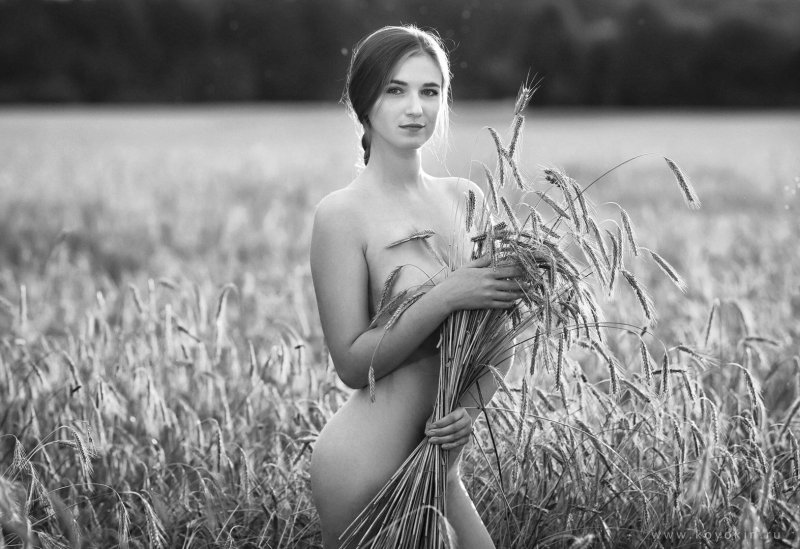 Photographer kekin konstantin, Nude in the field, Erotic
