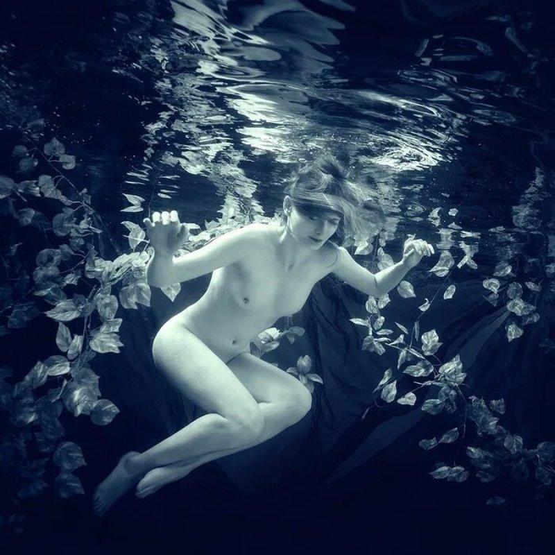 Dmitry laudin photographer new, Dmitry Laudin photographer Nude, Underwater shooting girls