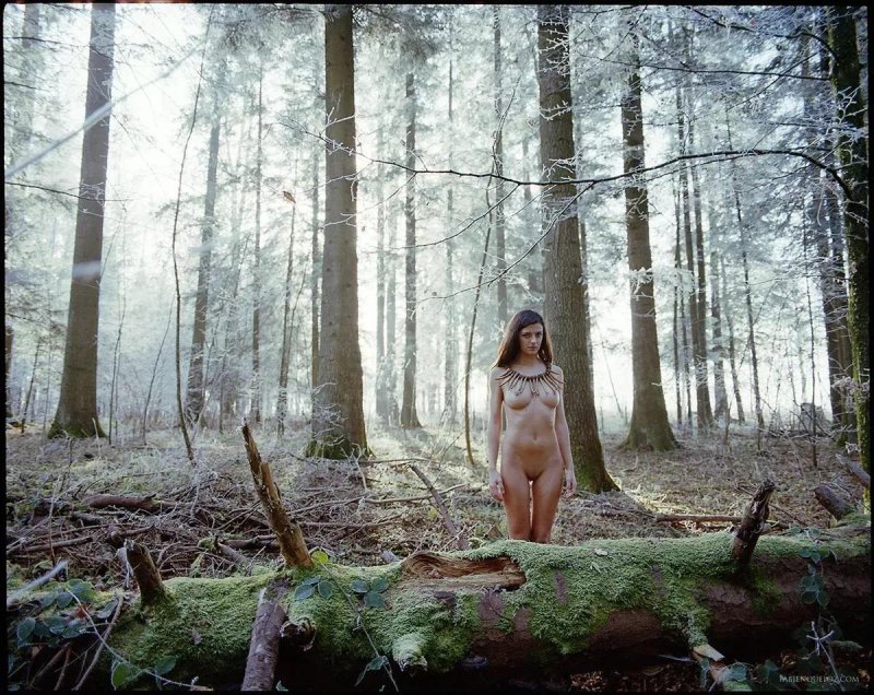 In the forest nude, Girl in a pine forest nude, Naked in the forest