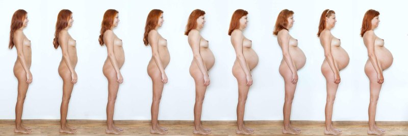 Naked pregnant women, Abdomen by week of pregnancy, Belief in three months of pregnancy