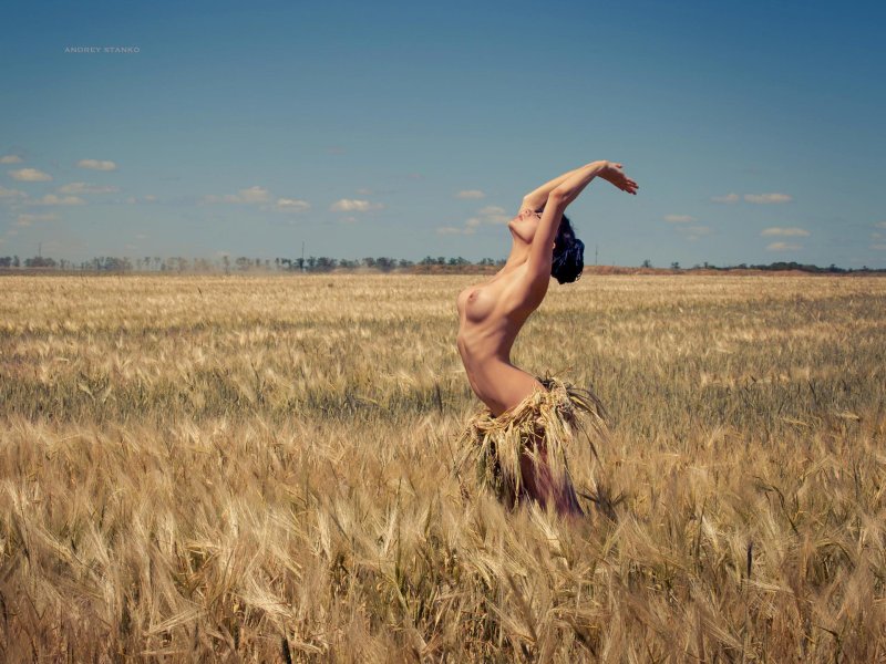 Erotic photo shoot in the field, Naked in the field, Beautiful women naked in the field