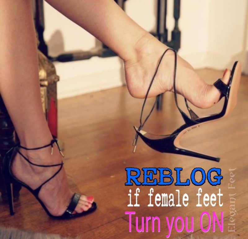 Legs in shoes, Stools on stilettos, Heeled sandals