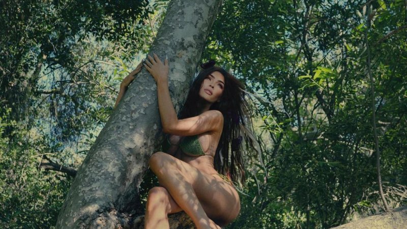 Megan Fox, Megan Fox Frank, Megan Fox photo shoot in a swimsuit
