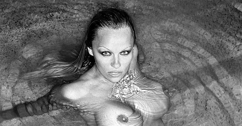 Tits Pamela Anderson, Pamela anderson lee, Pamela Anderson